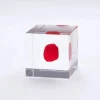 Sola Cube Huayruro Seed