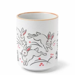 Teacup Rabbit